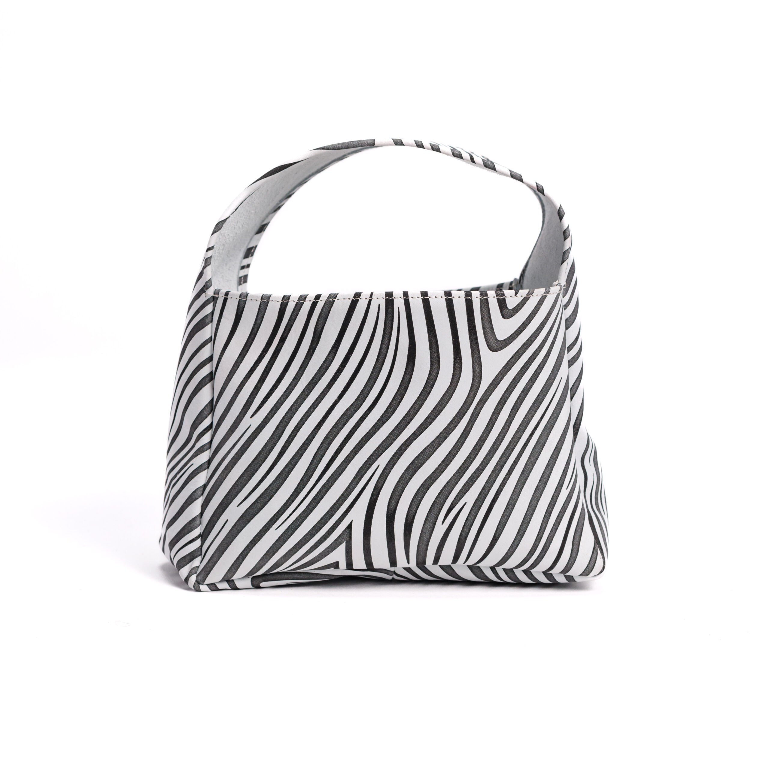 215A0382-scaled-1 Not so minnie Zebra Bag - Image 1