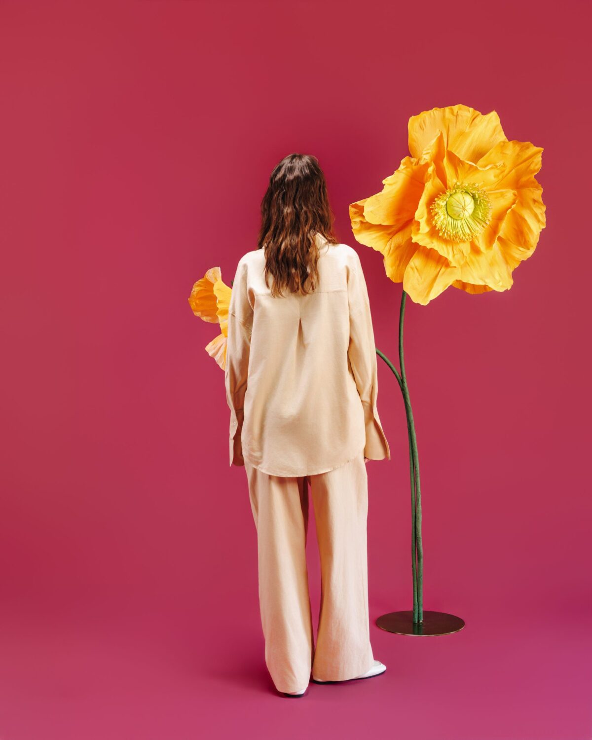 The Everyday Set - Image 2