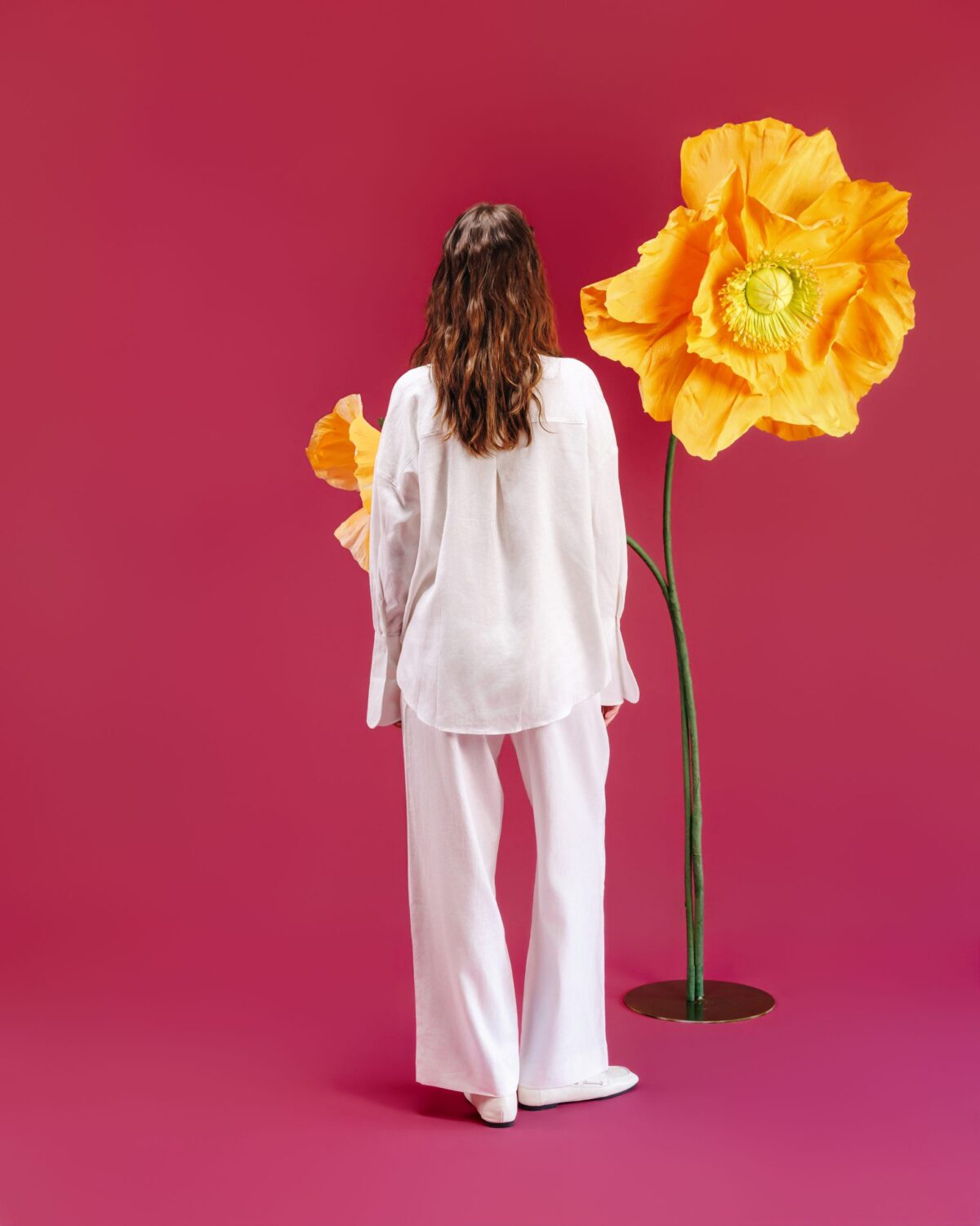 The Everyday Set - Image 2